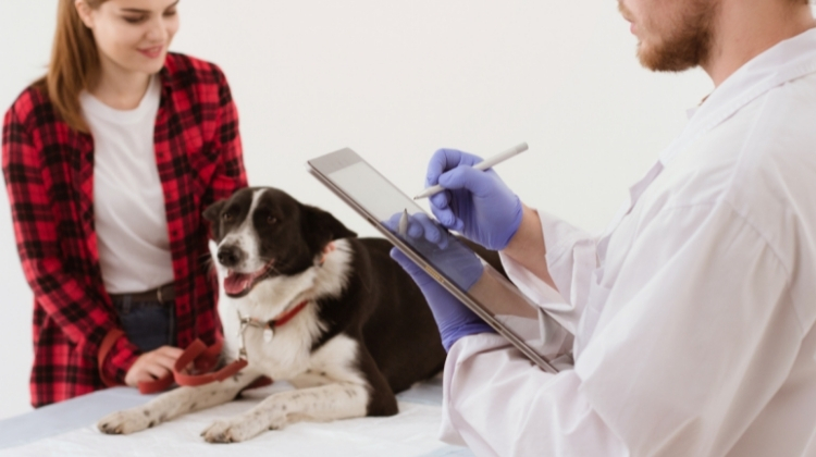 do you need a doctors note for an emotional support dog